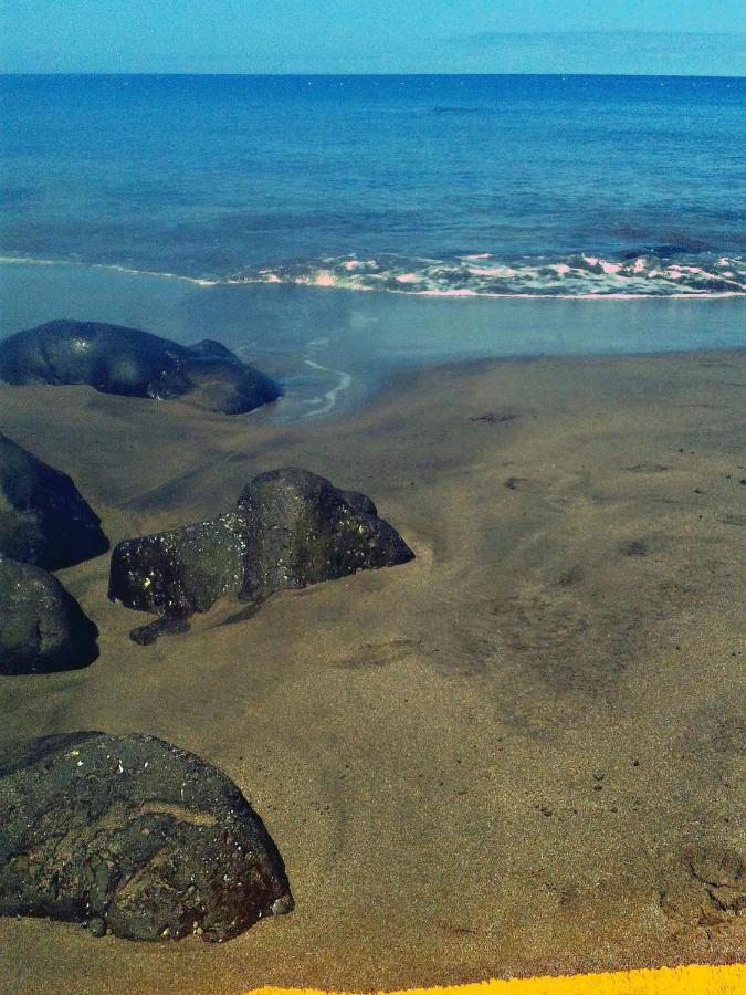 Apartamento A 1 Minuto De La Playa De Sardina Las Palmas de Gran Canaria Eksteriør bilde